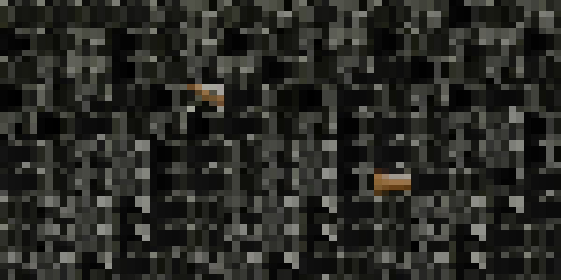 Pixel collage created with OCN from photographs above