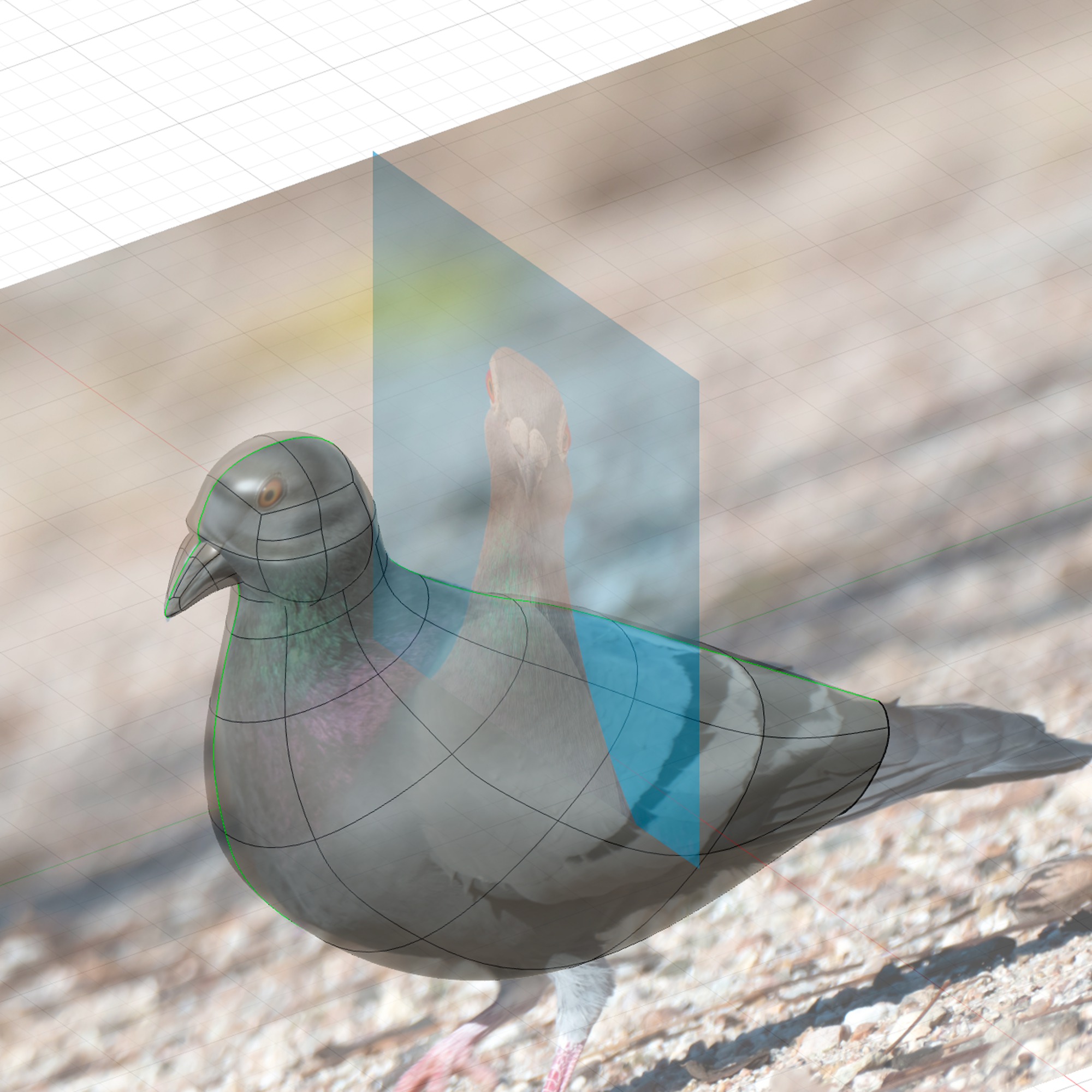 3D mold of Poopy Pigeon prototype.